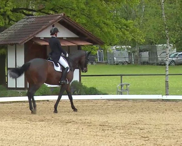 Reitturnier Aulendorf 2021