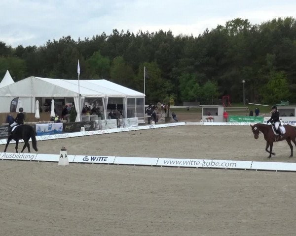 Reitturnier Rastede-Nethen 2021