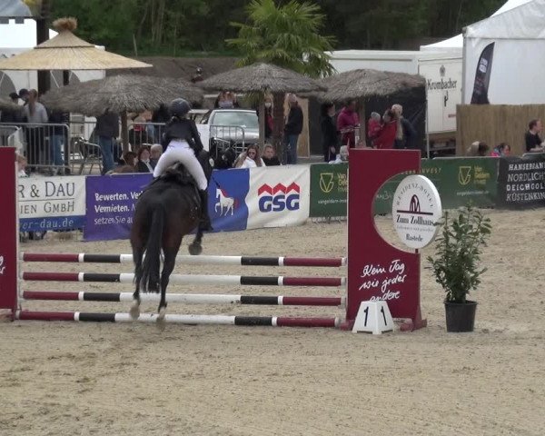 Reitturnier Rastede-Nethen 2021