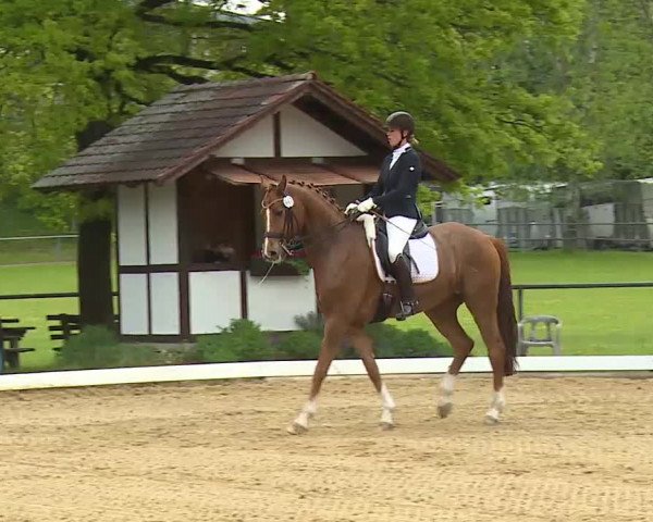 Reitturnier Aulendorf 2021