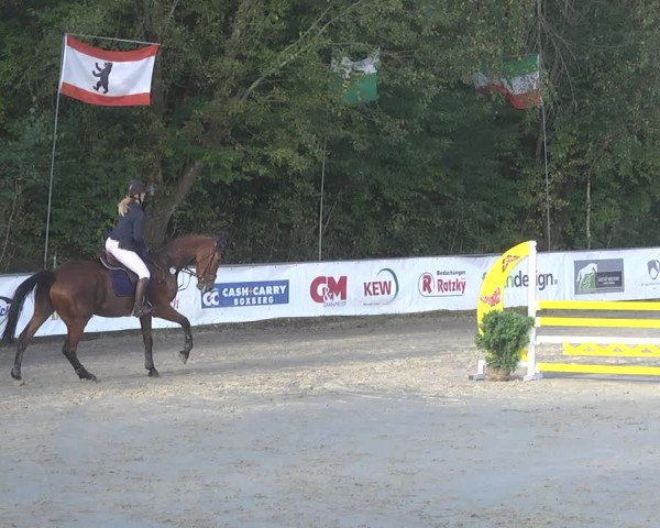 Reitturnier Neunkirchen-City 2021