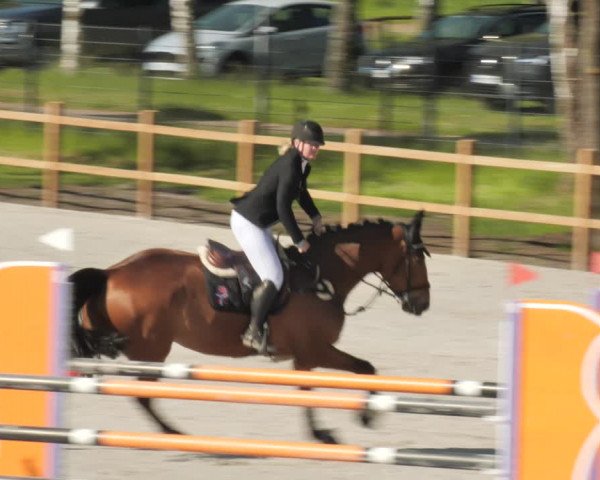 Reitturnier Westergellersen 2021