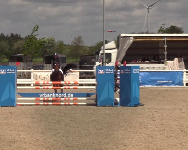 Reitturnier Ladelund 2021