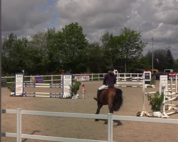 Reitturnier Ladelund 2021