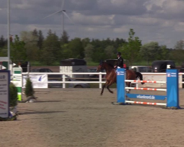 Reitturnier Ladelund 2021