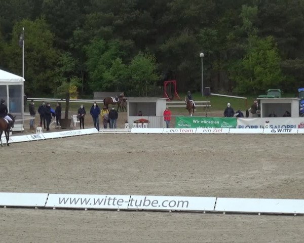 Reitturnier Rastede-Nethen 2021