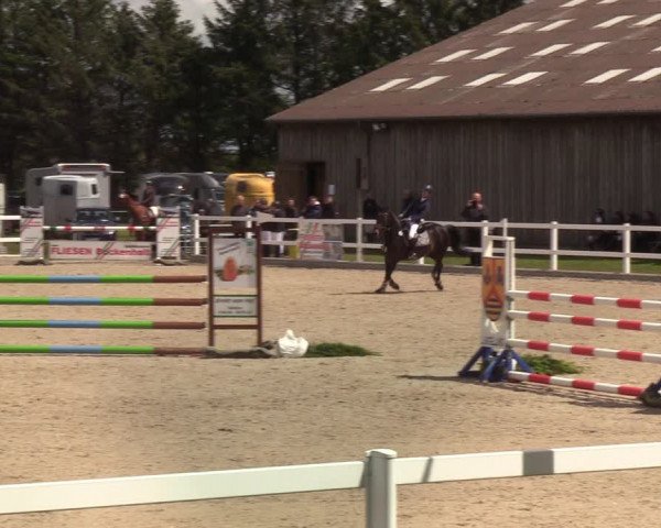 Reitturnier Ladelund 2021