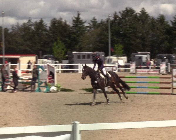 Reitturnier Ladelund 2021
