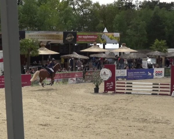 Reitturnier Rastede-Nethen 2021
