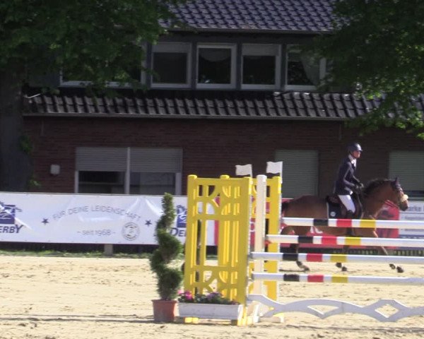 Reitturnier Münster-Handorf 2021