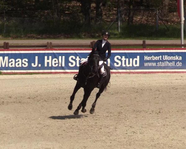 Reitturnier Westergellersen 2021