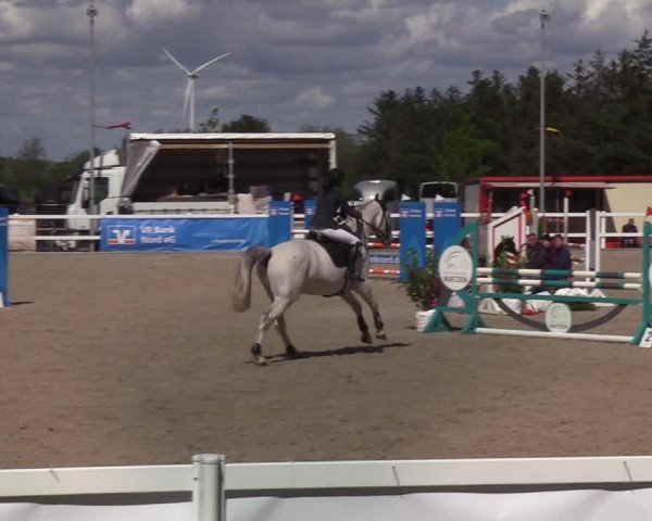 Reitturnier Ladelund 2021