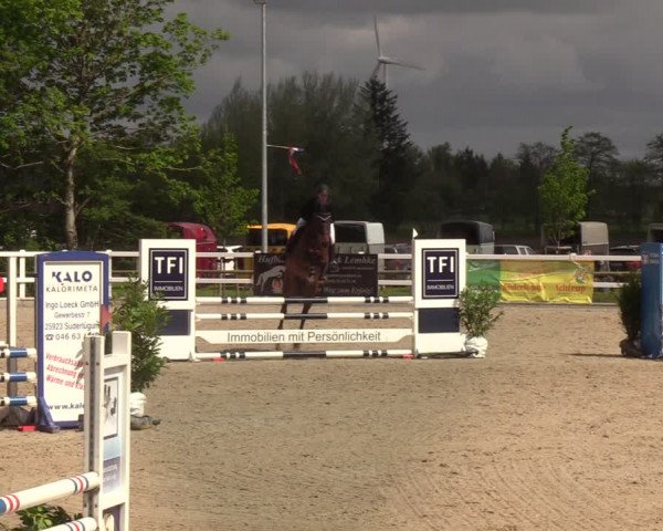 Reitturnier Ladelund 2021