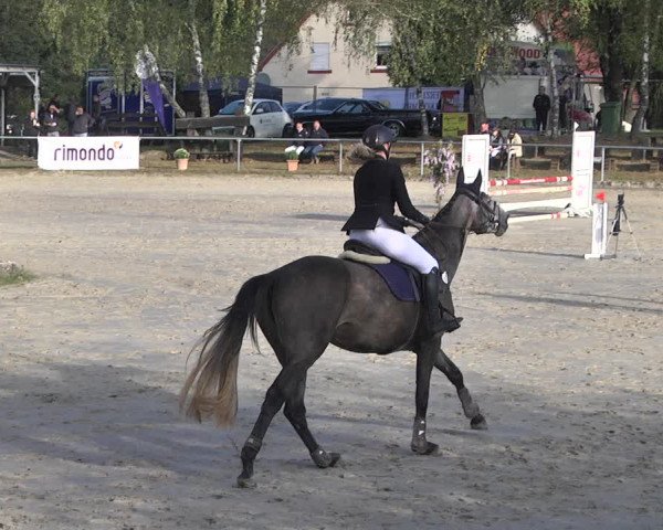 Reitturnier Neunkirchen-City 2021
