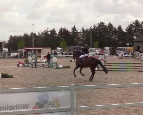 Reitturnier Ladelund 2021