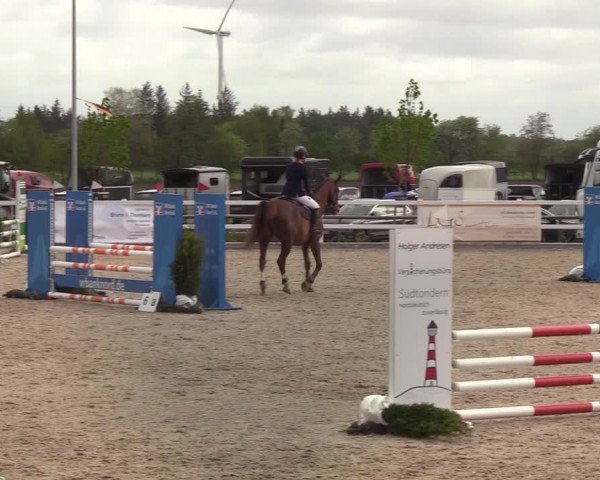 Reitturnier Ladelund 2021