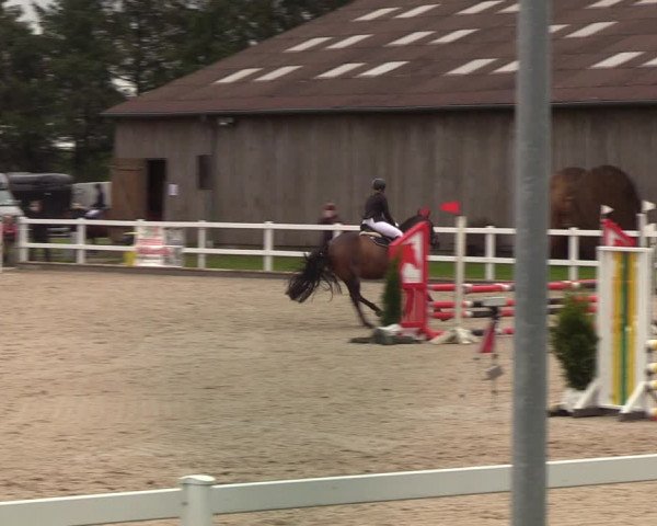 Reitturnier Ladelund 2021