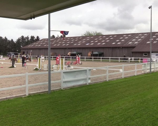 Reitturnier Ladelund 2021