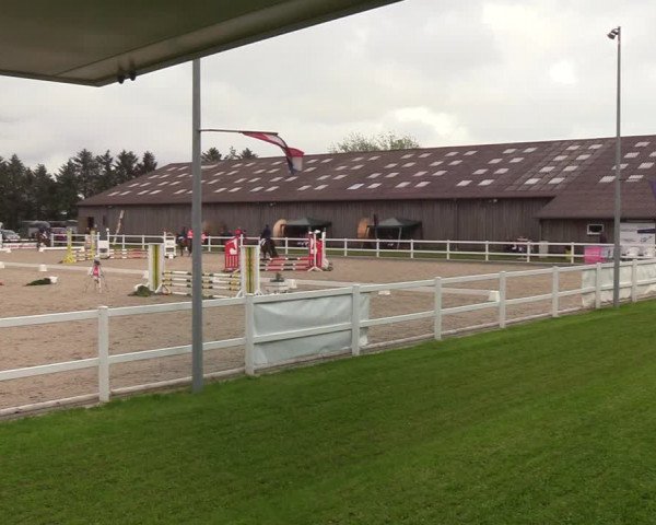 Reitturnier Ladelund 2021