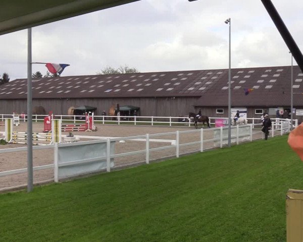 Reitturnier Ladelund 2021
