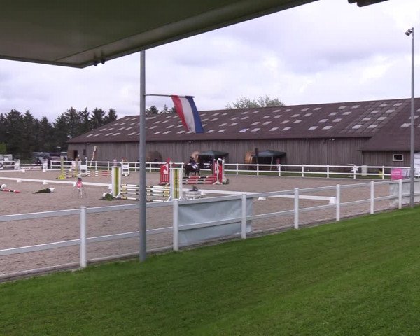 Reitturnier Ladelund 2021