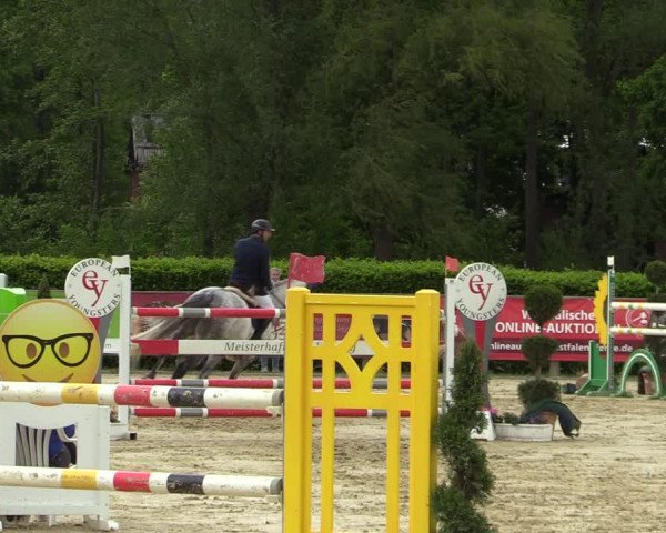 Reitturnier Münster-Handorf 2021