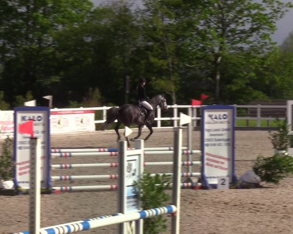 Reitturnier Ladelund 2021