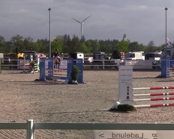 Reitturnier Ladelund 2021