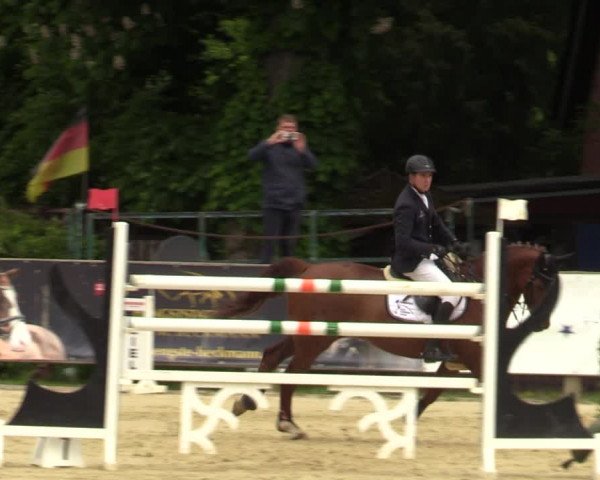 Reitturnier Münster-Handorf 2021
