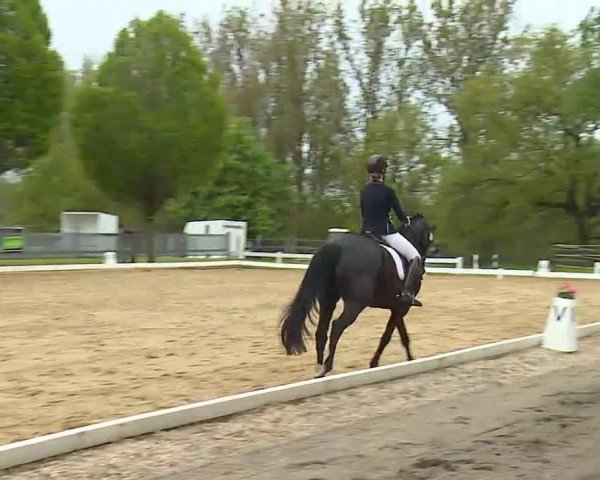 Reitturnier Aulendorf 2021