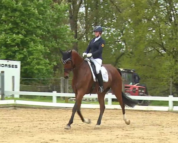 Reitturnier Aulendorf 2021