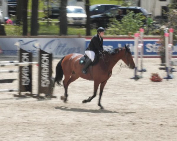 Reitturnier Westergellersen 2021