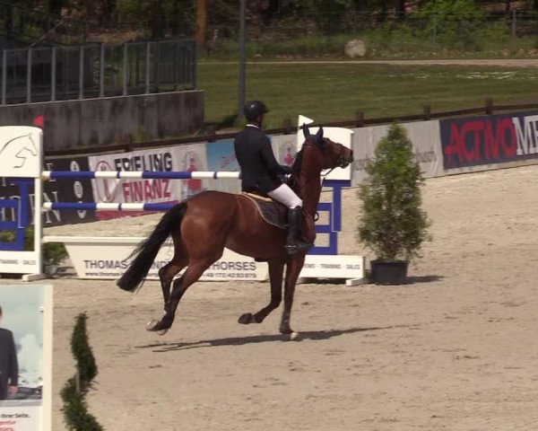 Reitturnier Westergellersen 2021