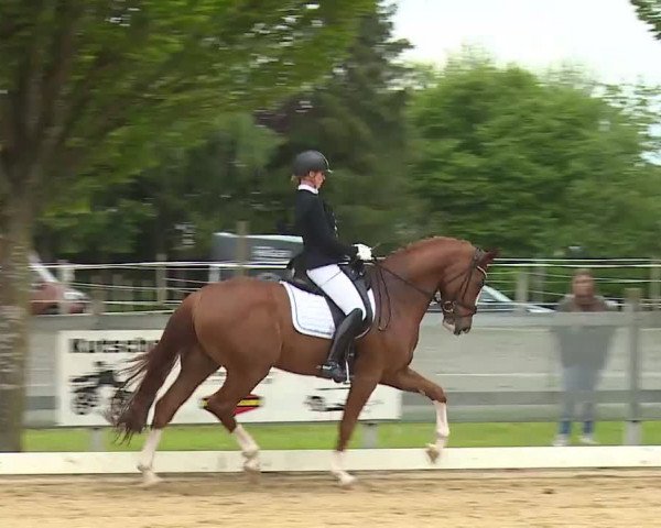 Reitturnier Aulendorf 2021