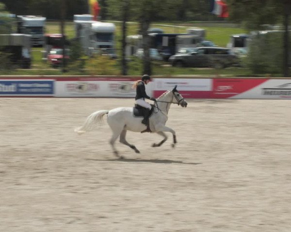 Reitturnier Westergellersen 2021