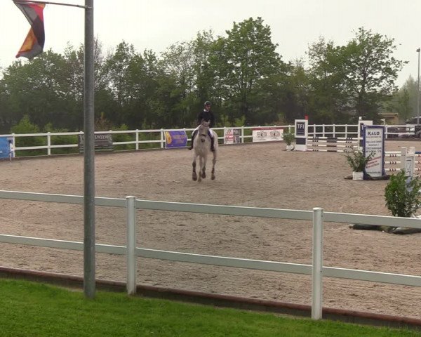 Reitturnier Ladelund 2021
