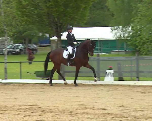 Reitturnier Aulendorf 2021