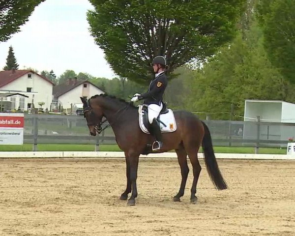 Reitturnier Aulendorf 2021