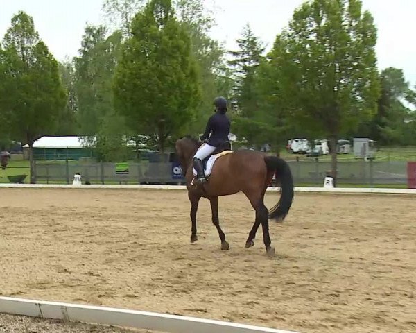 Reitturnier Aulendorf 2021