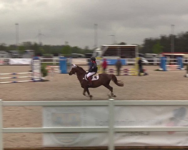 Reitturnier Ladelund 2021