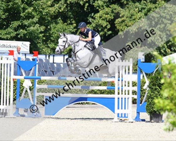 broodmare Lena Kosmee (German Sport Horse, 2004, from Levisto Z)