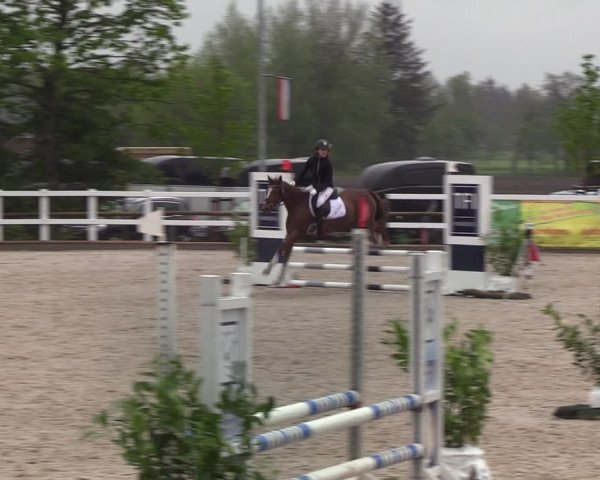 Reitturnier Ladelund 2021
