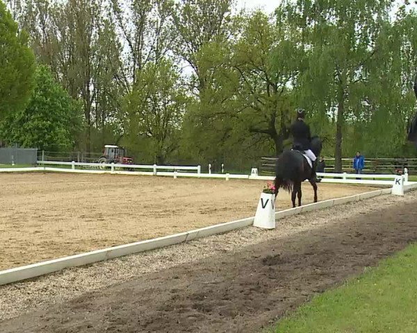 Reitturnier Aulendorf 2021
