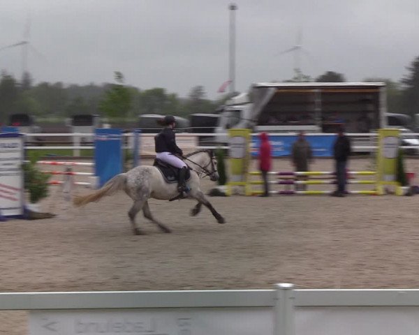 Reitturnier Ladelund 2021