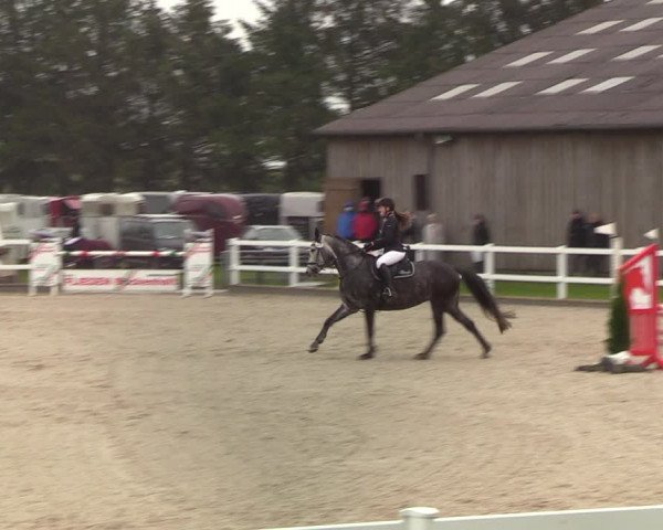Reitturnier Ladelund 2021
