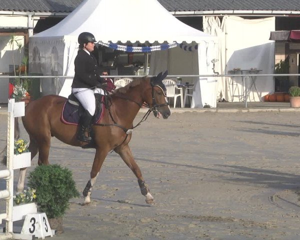 Reitturnier Neunkirchen-City 2021