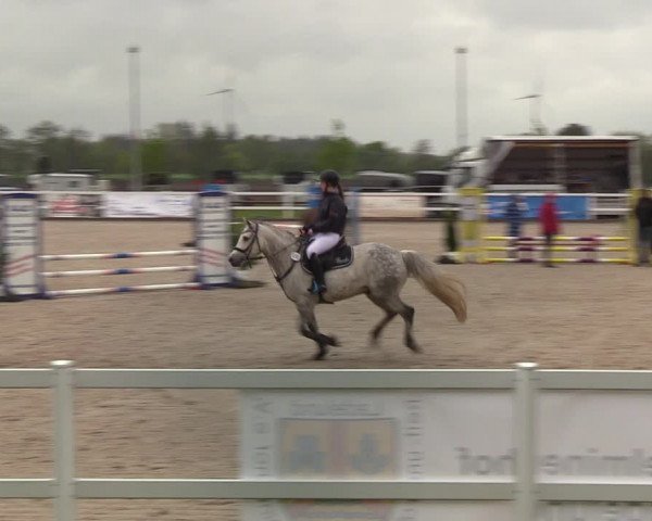 Reitturnier Ladelund 2021