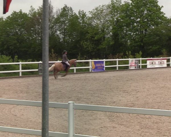 Reitturnier Ladelund 2021