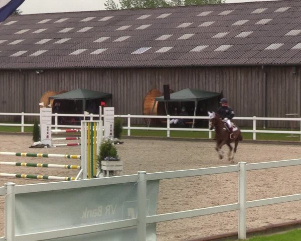 Reitturnier Ladelund 2021