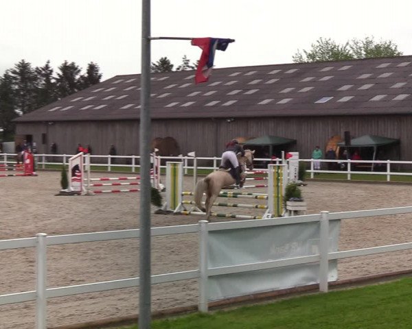 Reitturnier Ladelund 2021